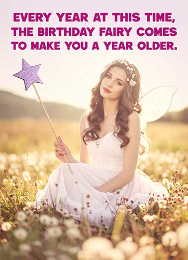 Birthday Fairy Wand Funny Birthday     Bet you'd like to tell her where to stick that wand!